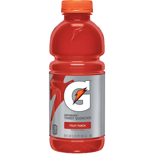 Gatorade Fruit Punch